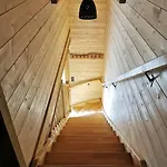 Fenetre Sur Les Cretes Vosgiennes *