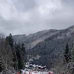 Fenetre Sur Les Cretes Vosgiennes * La Bresse