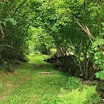 Fenetre Sur Les Cretes Vosgiennes Chalet