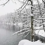 Fenetre Sur Les Cretes Vosgiennes *