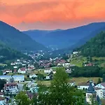 Fenetre Sur Les Cretes Vosgiennes Chalet *