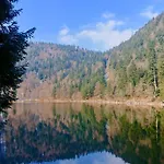 Fenetre Sur Les Cretes Vosgiennes La Bresse