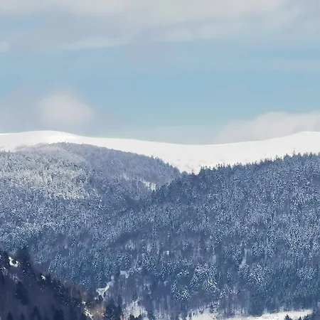 Fenetre Sur Les Cretes Vosgiennes