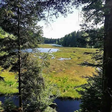 Fenetre Sur Les Cretes Vosgiennes Chalet La Bresse