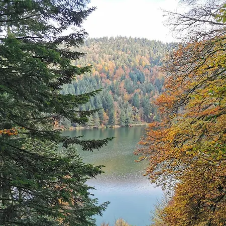 Fenetre Sur Les Cretes Vosgiennes * La Bresse