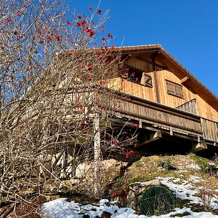 Fenetre Sur Les Cretes Vosgiennes La Bresse