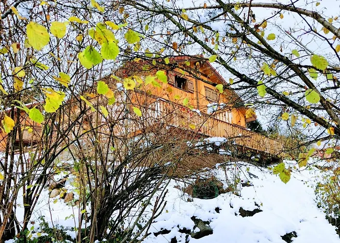 Fenetre Sur Les Cretes Vosgiennes * La Bresse