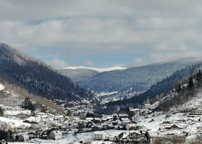 Fenetre Sur Les Cretes Vosgiennes La Bresse