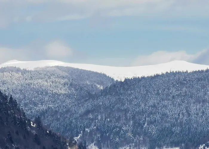 Fenetre Sur Les Cretes Vosgiennes