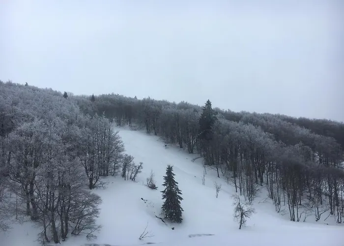 Fenetre Sur Les Cretes Vosgiennes Chalet La Bresse