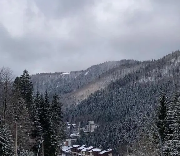 Fenetre Sur Les Cretes Vosgiennes * La Bresse