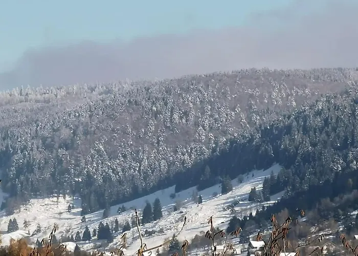 Fenetre Sur Les Cretes Vosgiennes Chalet La Bresse