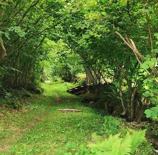 Fenetre Sur Les Cretes Vosgiennes Chalet