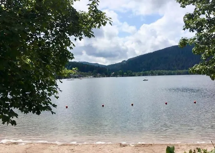 Chalet Fenetre Sur Les Cretes Vosgiennes La Bresse