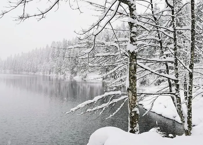 Fenetre Sur Les Cretes Vosgiennes *