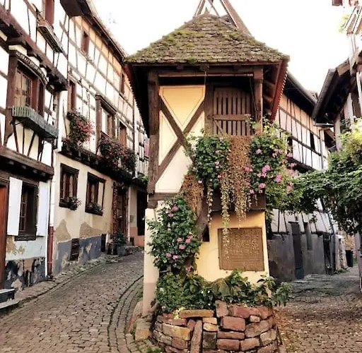 Chalet Fenetre Sur Les Cretes Vosgiennes