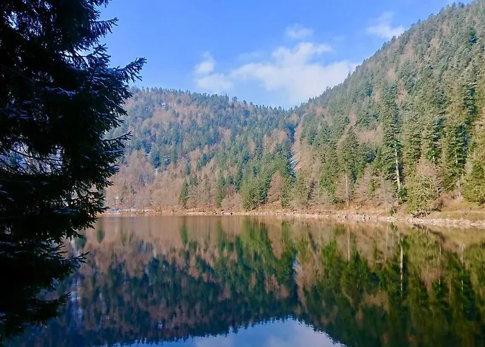 Fenetre Sur Les Cretes Vosgiennes La Bresse